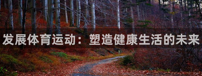 米兰体育官方正版app集团官网首页网址：发展体育运动