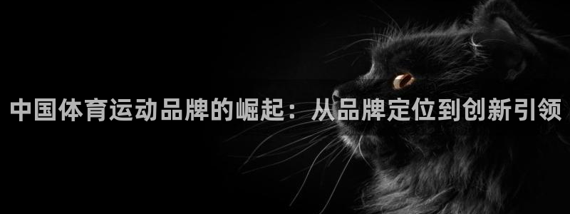 米兰体育官网下载招商电话号码查询：中国体育运动品牌的