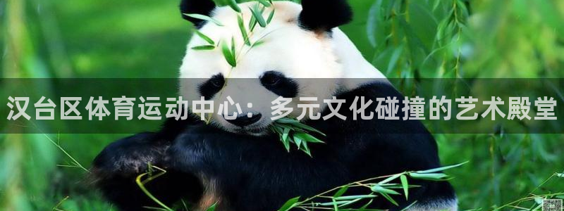 米兰体育官方正版app官网：汉台区体育运动中心：多元