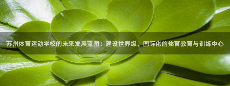米兰体育官网下载平台注册流程图：苏州体育运动学校的未来发展蓝