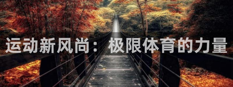 海南米兰体育官网下载发展怎么样：运动新风尚：极限体育