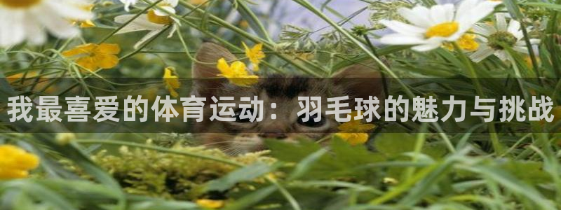 米兰体育官网下载软件