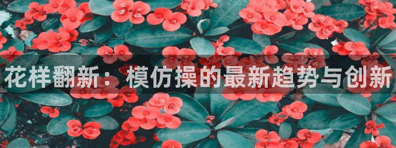 米兰体育官网下载平台假的吗是真的吗：花样翻新：模仿操