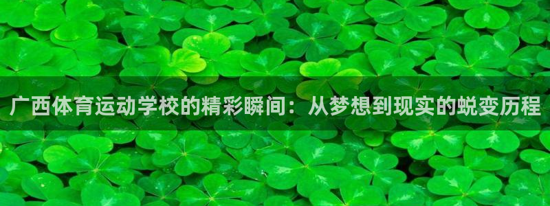 米兰体育官网下载招商电话号码是多少：广西体育运动学校