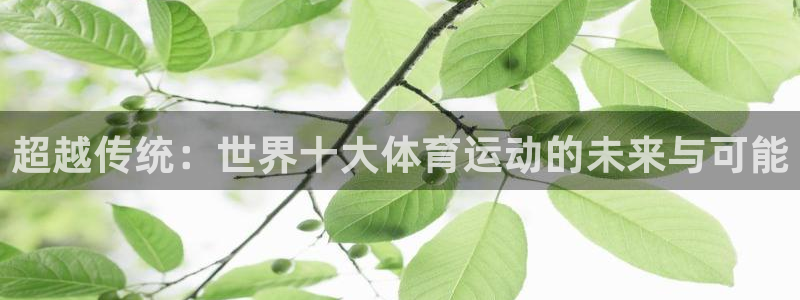 米兰体育官网下载招商电话号码是多少：超越传统：世界十