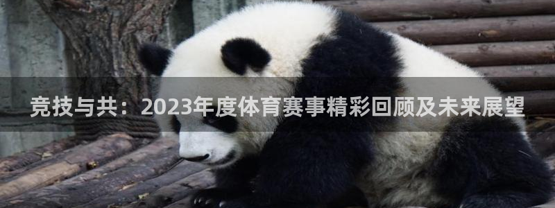 米兰体育官网下载平台APP：竞技与共：2023年度体