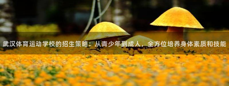 米兰体育官方正版app娱乐是那个系列的台子