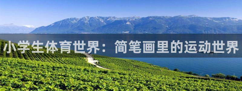 海南米兰体育官网下载发展怎么样：小学生体育世界：简笔画里的运