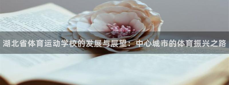 米兰体育官方正版app娱乐网站：湖北省体育运动学校的发展与展