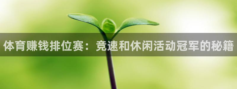 米兰体育官方正版app娱乐首页官网下载：体育赚钱排位赛：竞速