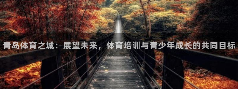 米兰体育官网下载娱乐：青岛体育之城：展望未来，体育培训与青少