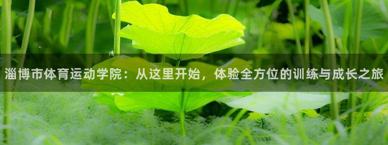 米兰体育官方正版app五金厂：淄博市体育运动学院：从这里开始