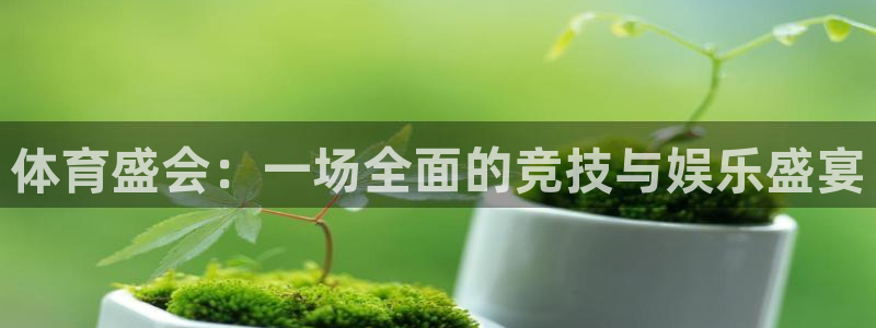 米兰体育官方正版app娱乐网站：体育盛会：一场全面的
