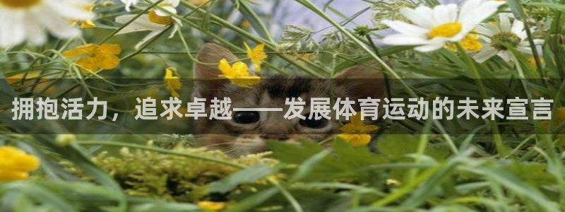 米兰体育官网下载：拥抱活力，追求卓越——发展体育运动