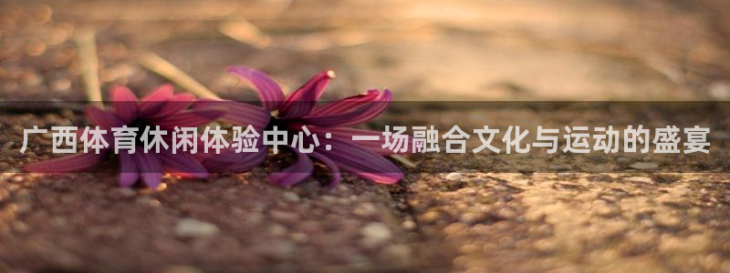 米兰体育官方正版app娱乐是那个系列的台子：广西体育休闲体验