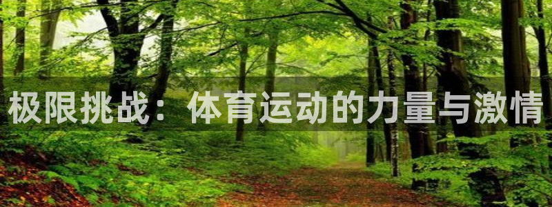 米兰体育官方正版app开户：极限挑战：体育运动的力量与激情