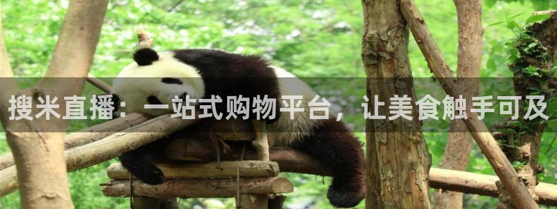 松鼠直播体育免费：搜米直播：一站式购物平台，让美食触手可及