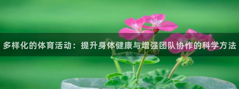 米兰体育不能提现：多样化的体育活动：提升身体健康与增强团队协