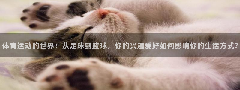 米兰体育提款被黑：体育运动的世界：从足球到篮球，你的兴趣爱好