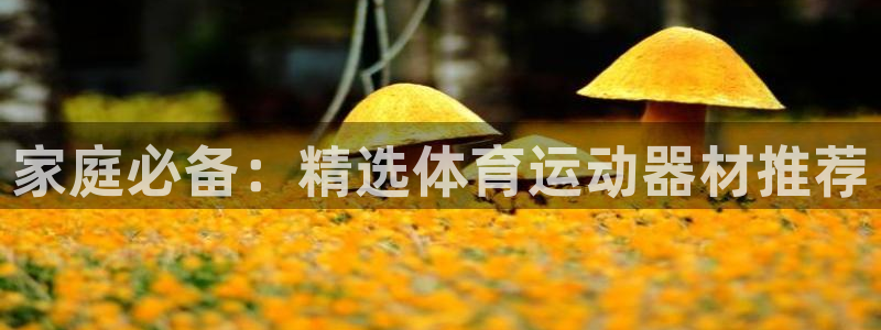 米兰体育中心官网：家庭必备：精选体育运动器材推荐