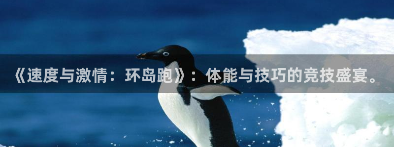 米兰体育spp：《速度与激情：环岛跑