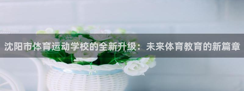 ac米兰体育发展有限公司：沈阳市体育