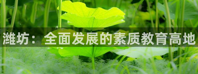 米兰体育报与马拉多纳